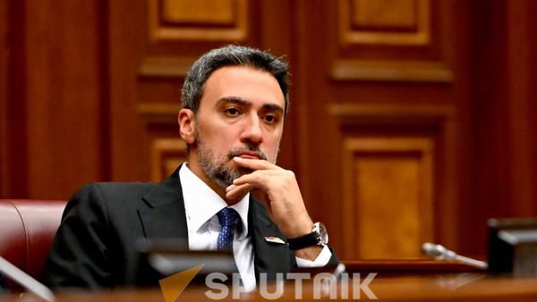 ՀՀ ԱԺ նախագահի տեղակալ, «Ուժեղ Հայաստան» խմբակցության պատգամավոր Արամ Վարդևանյանը - Sputnik Արմենիա
