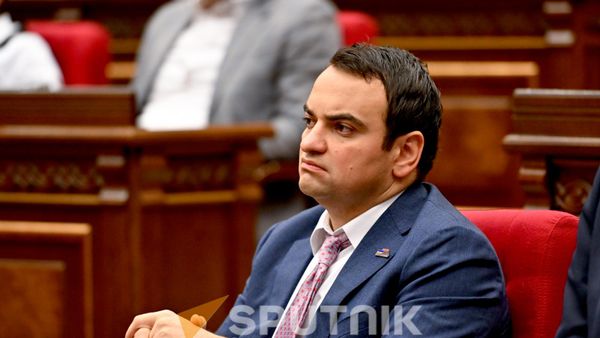 ԱԺ «Ուժեղ Հայաստան» խմբակցության ղեկավար Նարեկ Կարապետյանը  - Sputnik Արմենիա