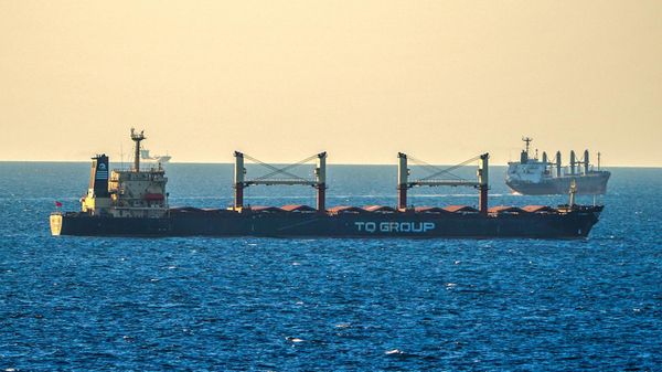 Зерновое судно TQ Samsun стоит на якоре в Черном море у входа в Босфорский пролив (17 июля 2023). Стамбул - Sputnik Армения