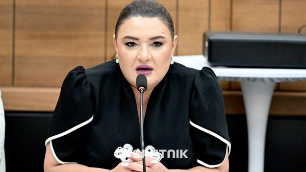 Иветта Тоноян во время пресс-конференции Совета защиты Гагика Царукяна и других политзаключенных (10 сентября 2026). Еревaн - Sputnik Армения