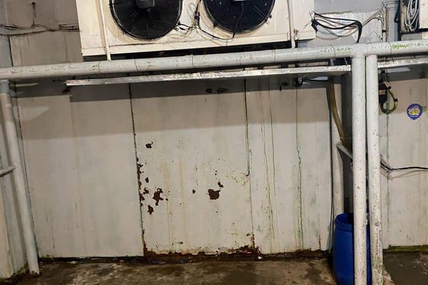 Инспекционный орган безопасности пищевых продуктов приостановил производственную деятельность молочно-пищевого завода ООО Арзни Катнамтерк (Еревaн) Инспекционный орган безопасности пищевых продуктов приостановил производственную деятельность молочно-пищевого завода ООО Арзни Катнамтерк (Еревaн) - Sputnik Армения