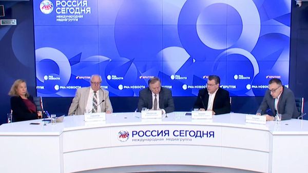 Алексей Мухин и Александр Гущин о ситуации на Южном Кавказе - Sputnik Армения