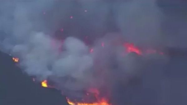 Лесной пожар в Калифорнии - Sputnik Արմենիա