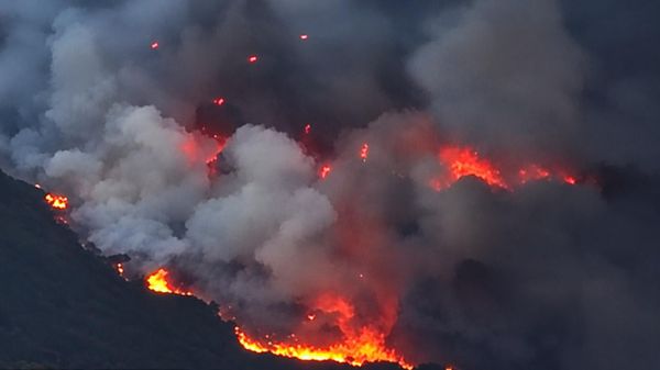 Лесной пожар в Калифорнии - Sputnik Армения