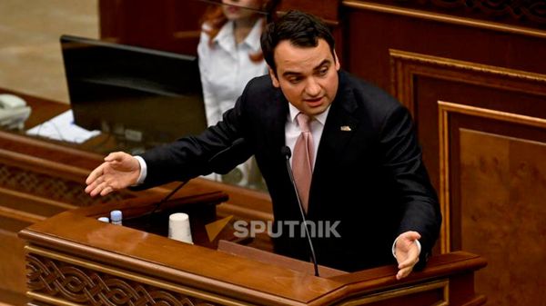 Նարեկ Կարապետյան - Sputnik Արմենիա