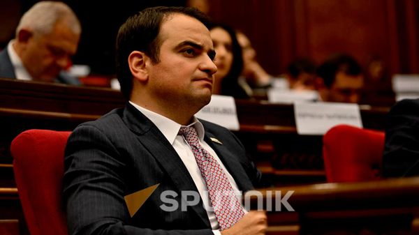 Նարեկ Կարապետյան - Sputnik Արմենիա