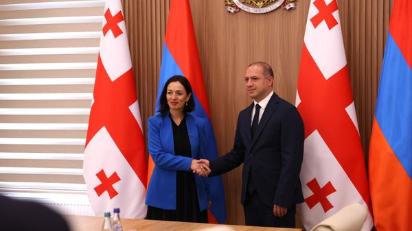 Министр ОНКС Жанна Андреасян встретилась с министром образования, науки и молодежи Грузии Гиви Миканадзе (7 октября 2026). Тбилиси - Sputnik Армения