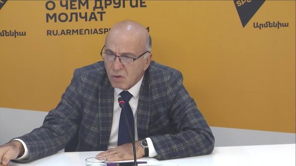 Экономике Армении грозит катастрофа: Татул Манасерян Экономике Армении грозит катастрофа: Татул Манасерян - Sputnik Армения
