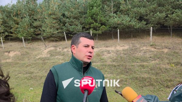 руководитель программы лесовосстановления благотворительного фонда ATP Ваге Мацакян - Sputnik Армения