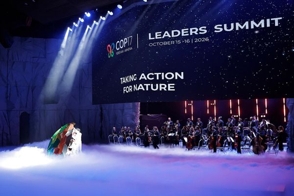 COP17–ի Առաջնորդների գագաթնաժողովի բացման արարողություն - Sputnik Արմենիա