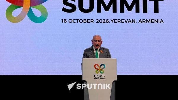 Նիկոլ Փաշինյանը COP17-ին - Sputnik Արմենիա