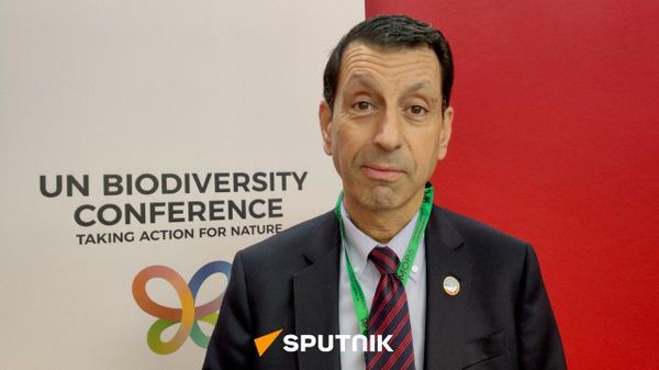Կավե Զահեդի - Sputnik Արմենիա