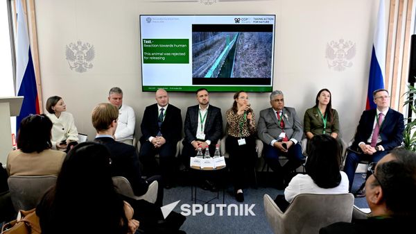Мероприятие в рамках COP17 в павильоне России (23 октября 2026). Еревaн - Sputnik Армения
