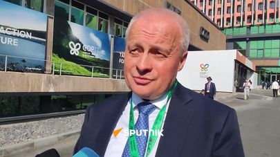 Россия готова делиться с Арменией наработками в сфере экологии — Копыркин