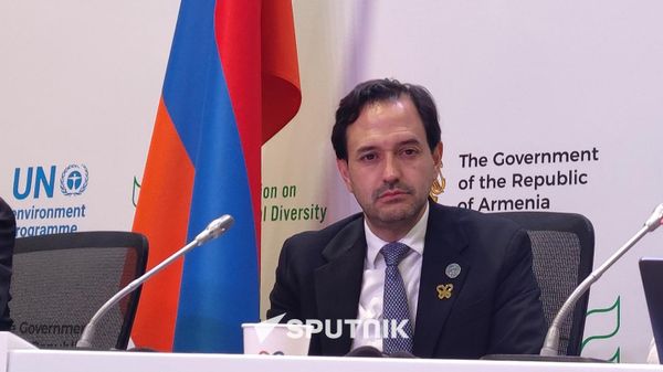 Դիեգո Մեսա Պույոն - Sputnik Արմենիա