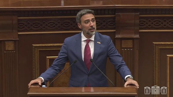 Եկեք, ներողություն խնդրեք Նարեկ Կարապետյանից. Վարդևանյանը` քաղաքացիության մասին - Sputnik Արմենիա