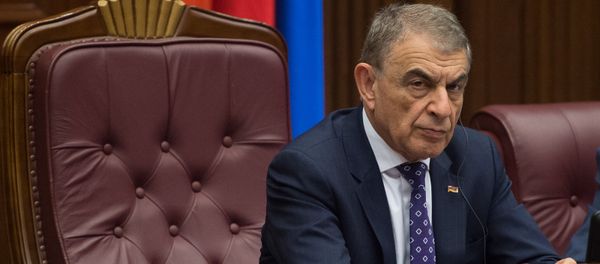 Заседание парламента посвященное взлету цен Заседание парламента посвященное взлету цен - Sputnik Армения