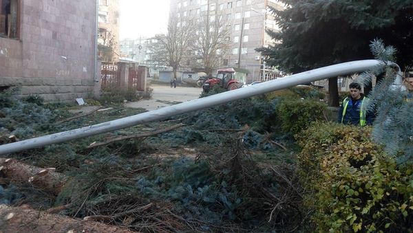 В Ванадзоре ветер сломил деревья - Sputnik Армения
