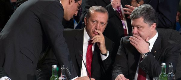 Президенты Украины и Турции Петр Порошенко и Реджеп Эрдоган - Sputnik Արմենիա
