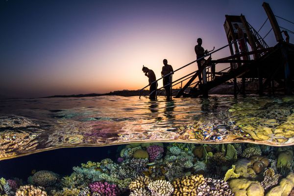 Снимок Evening Snorkel американского фотографа Brook Peterson, занявший третье место в категории Wide Angle в конкурсе подводной фотографии 2018 Underwater Photographer of the Year - Sputnik Армения