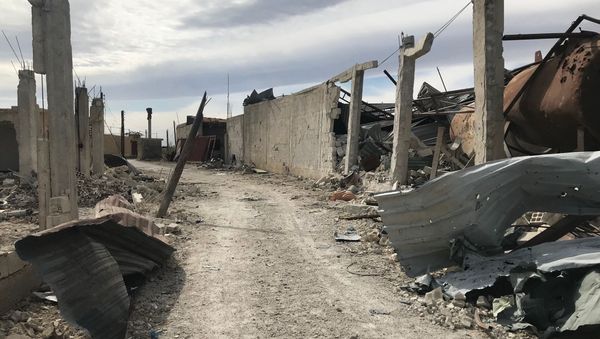 Освобожденное от террористов поселение Шифония в Восточной Гуте - Sputnik Армения