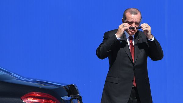 Президент Турции Реджеп Тайип Эрдоган - Sputnik Армения