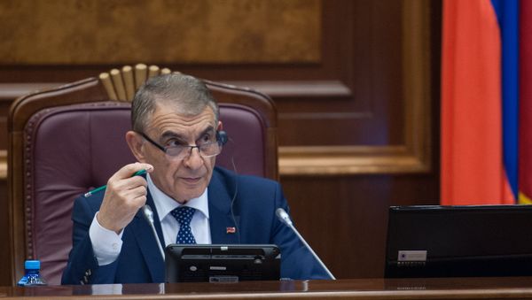 Спикер НС Армении Ара Баблоян - Sputnik Արմենիա