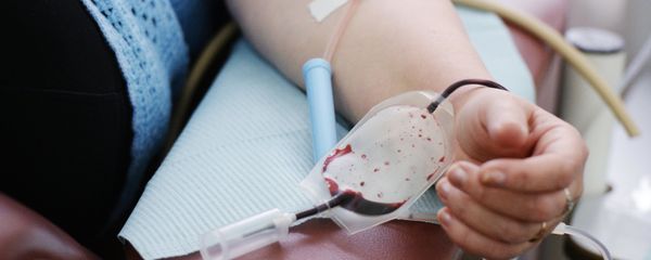лаборатория - Sputnik Армения