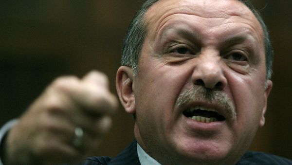 Президент Турции Реджеп Тайип Эрдоган - Sputnik Армения