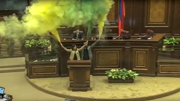 Акция фракции Елк в Национальном сообрании Акция фракции Елк в Национальном сообрании - Sputnik Армения