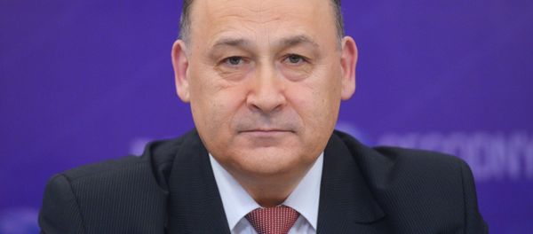 Директор Института стратегического планирования и прогнозирования, главный научный сотрудник Института социологии РАН Александр Гусев Директор Института стратегического планирования и прогнозирования, главный научный сотрудник Института социологии РАН Александр Гусев - Sputnik Армения