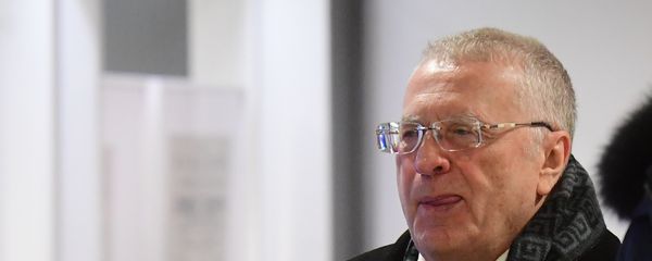 Лидер ЛДПР Владимир Жириновский  - Sputnik Армения