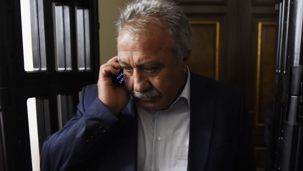 Депутат НС Сасун Микаелян во время специального заседания парламента по выборам нового премьер-министра Армении (1 мая 2018). Еревaн - Sputnik Արմենիա