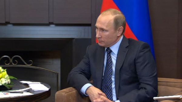 СПУТНИК_Путин назвал ударом в спину атаку ВВС Турции на российский самолет Су-24 - Sputnik Армения