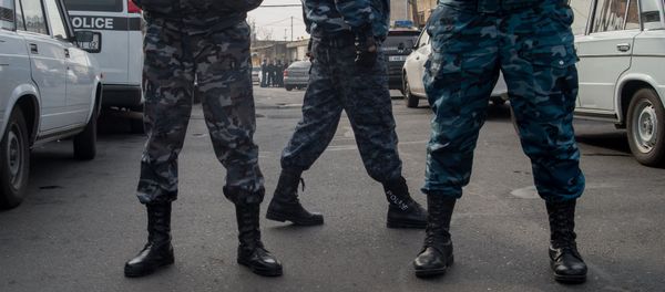 Полиция, Служба безопасности - Sputnik Армения