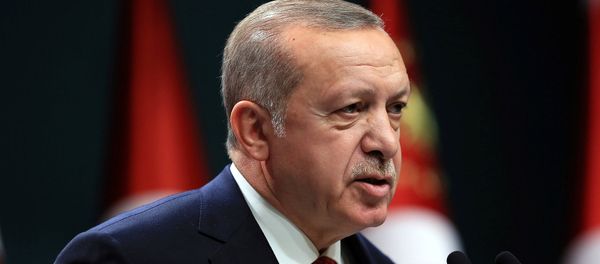 Президент Турции Тайип Эрдоган выступает на пресс-конференции в Президентском дворце (18 апреля 2018). Анкара, Турция Президент Турции Тайип Эрдоган выступает на пресс-конференции в Президентском дворце (18 апреля 2018). Анкара, Турция - Sputnik Армения