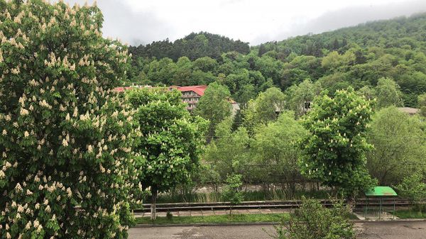 Դիլիջան - Sputnik Արմենիա