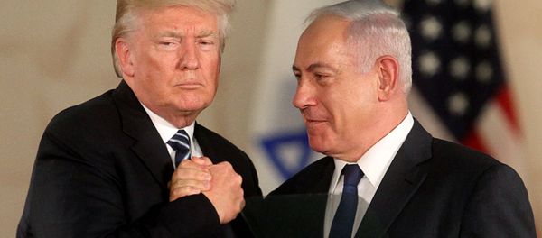 Президент США Дональд Трамп и премьер-министр Израиля Биньямин Нетаньяху в Музее Израиля (23 мая 2017). Иерусалим - Sputnik Армения