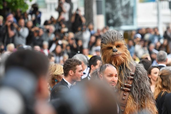 Персонаж Чубакка на красной дорожке 71-го Каннского кинофестиваля перед премьерой фильма Хан Соло. Звёздные войны: Истории (Solo: A Star Wars Story) (15 мая 2018). Канны, Франция Персонаж Чубакка на красной дорожке 71-го Каннского кинофестиваля перед премьерой фильма Хан Соло. Звёздные войны: Истории (Solo: A Star Wars Story) (15 мая 2018). Канны, Франция - Sputnik Армения
