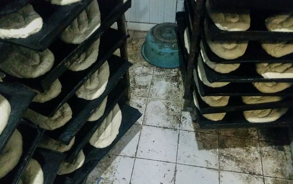 Проверка Службы безопасности пищевых продуктов в супермаркетах Циран Маркет - Sputnik Армения