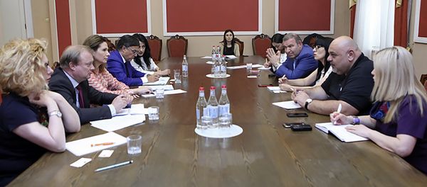 Встреча содокладчиков Мониторинговой комиссии ПАСЕ по делам Армении с представителями парламентской фракции “Царукян” (24 мая 2018). Еревaн - Sputnik Армения