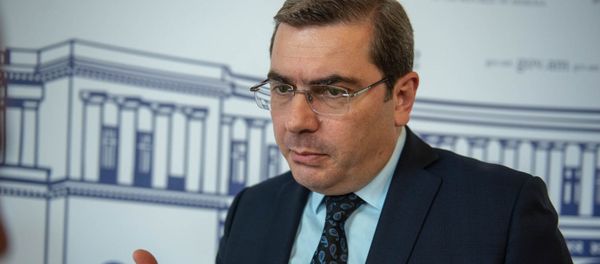Председатель Комитета государственных доходов Армении Давид Ананян - Sputnik Արմենիա