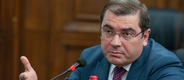 Председатель КГД Армении Давид Ананян в парламенте (29 мая 2018). Еревaн - Sputnik Армения