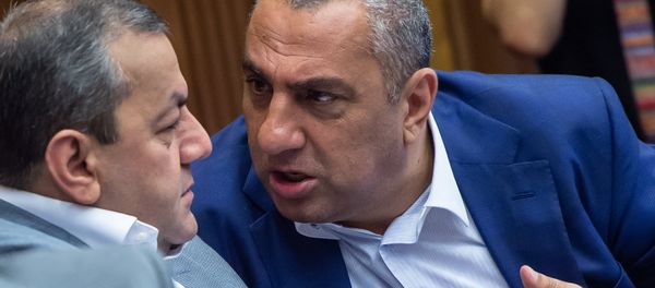 Депутаты от фракции РПА Араик Григорян и Самвел Алексанян на внеочередном заседании НС (7 июня 2018). Еревaн Депутаты от фракции РПА Араик Григорян и Самвел Алексанян на внеочередном заседании НС (7 июня 2018). Еревaн - Sputnik Армения