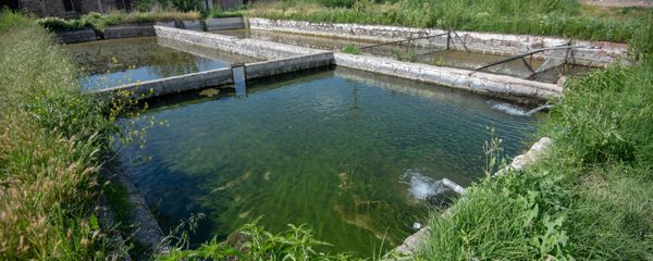 Бассейны рыбного хозяйства, село Гай, Армавирская область Бассейны рыбного хозяйства, село Гай, Армавирская область - Sputnik Արմենիա