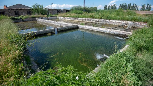 Бассейны рыбного хозяйства, село Гай, Армавирская область Бассейны рыбного хозяйства, село Гай, Армавирская область - Sputnik Արմենիա