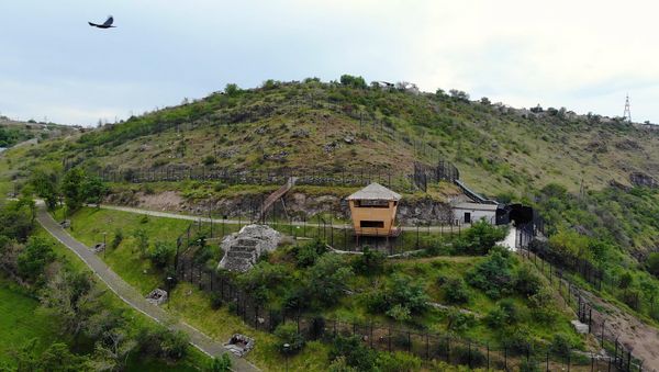 Ереванский зоопарк - Sputnik Արմենիա