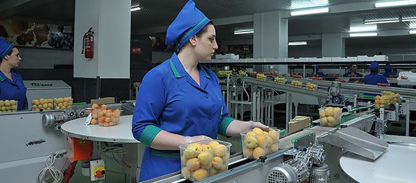 Производственная линия для сортировки фруктов и овощей компании Spayka - Sputnik Արմենիա