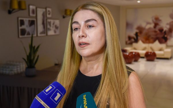 Генеральный секретарь Армянского общества Красного Креста Анна Егиазарян на презентации программы помощи (18 июля 2018). Еревaн Генеральный секретарь Армянского общества Красного Креста Анна Егиазарян на презентации программы помощи (18 июля 2018). Еревaн - Sputnik Армения