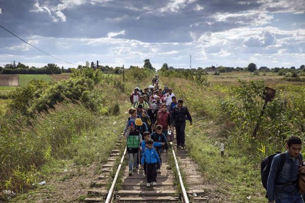 7 сентября 2015, беженцы на границе Сербии и Венгрии 7 сентября 2015, беженцы на границе Сербии и Венгрии - Sputnik Армения